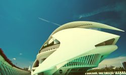 Etiam commodo convallis